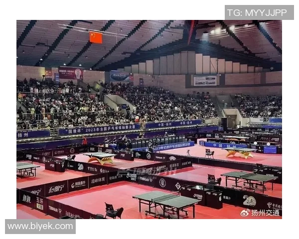 杭州乒乓球队在全国锦标赛积分榜上以95分稳居第一名引发关注