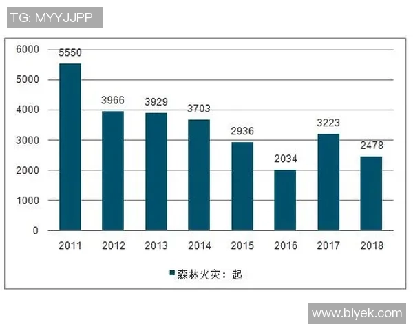成都足球队运营揭秘：从管理模式到市场策略的深度分析
