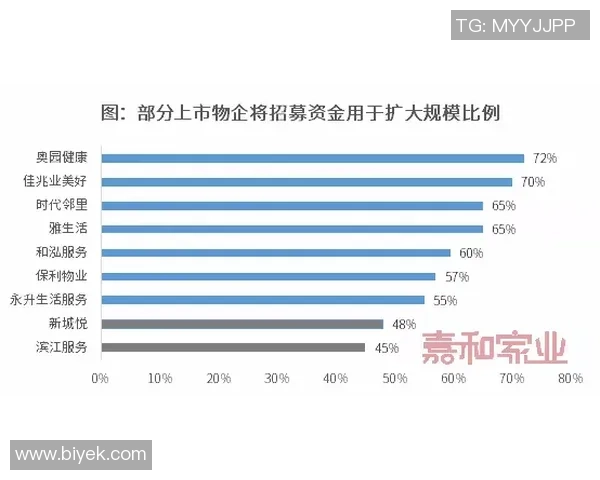 杭州排球队在杯赛中的技术表现分析与未来发展展望