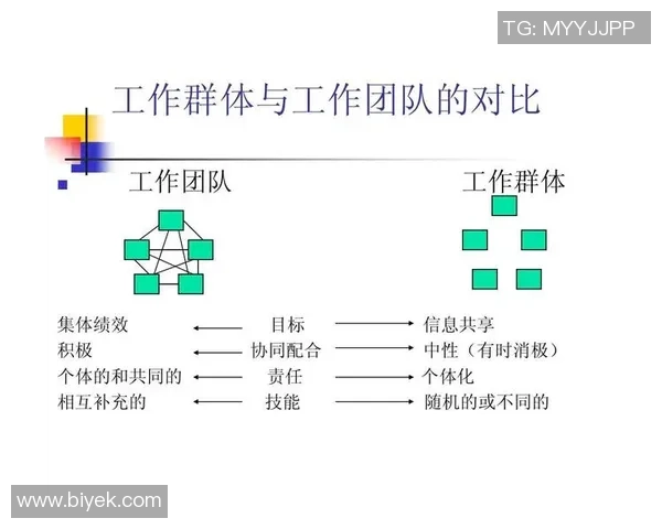 武汉乒乓球队在邀请赛中的团队协作表现分析与点评