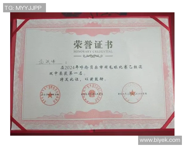 羽毛球奋斗史：上海羽毛球队拼搏历程的真实记录与感悟