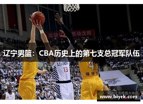 辽宁男篮：CBA历史上的第七支总冠军队伍