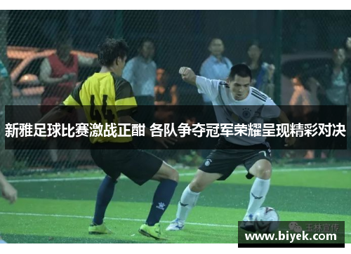新雅足球比赛激战正酣 各队争夺冠军荣耀呈现精彩对决