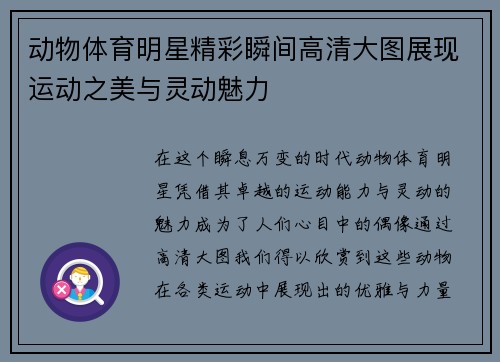 动物体育明星精彩瞬间高清大图展现运动之美与灵动魅力